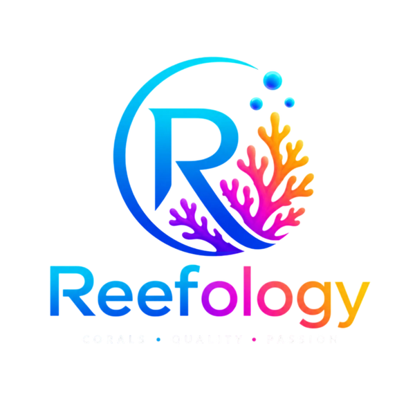Reefology