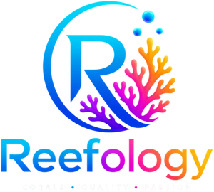 Reefology